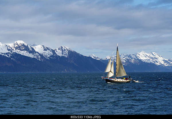 Click image for larger version

Name:	Sailboat in Resurrection Bay, Seward AK..jpg‎
Views:	100
Size:	110.5 KB
ID:	26802