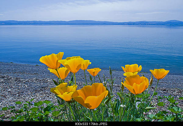 Beautiful photos from around the world.....-tuesday-may-24-2011-lucerne-ca.jpg