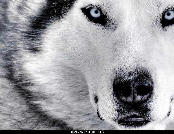 6376736_thumb.jpg
Views:	69
Size:	138.4 KB
ID:	4024