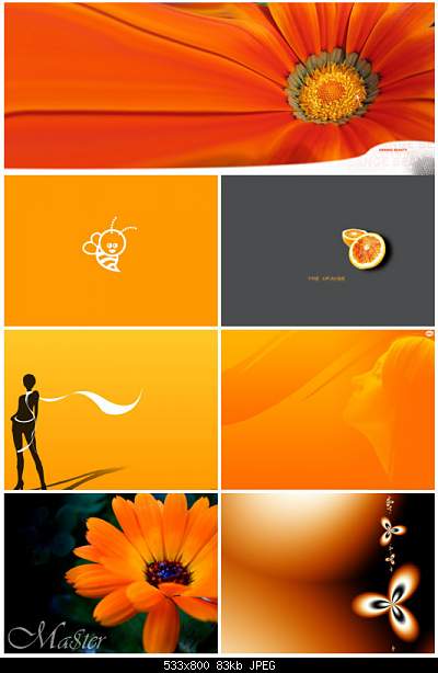Wallpapers Download/ -1196412566_orange.jpg