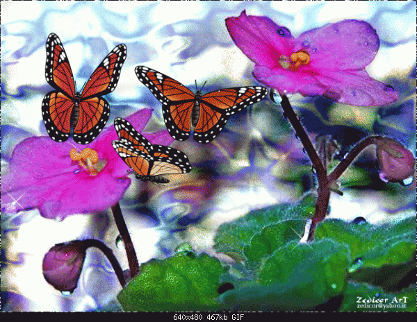 ♥ Love- signifies live! ♥ -  ! ♥-butterflytree.gif
